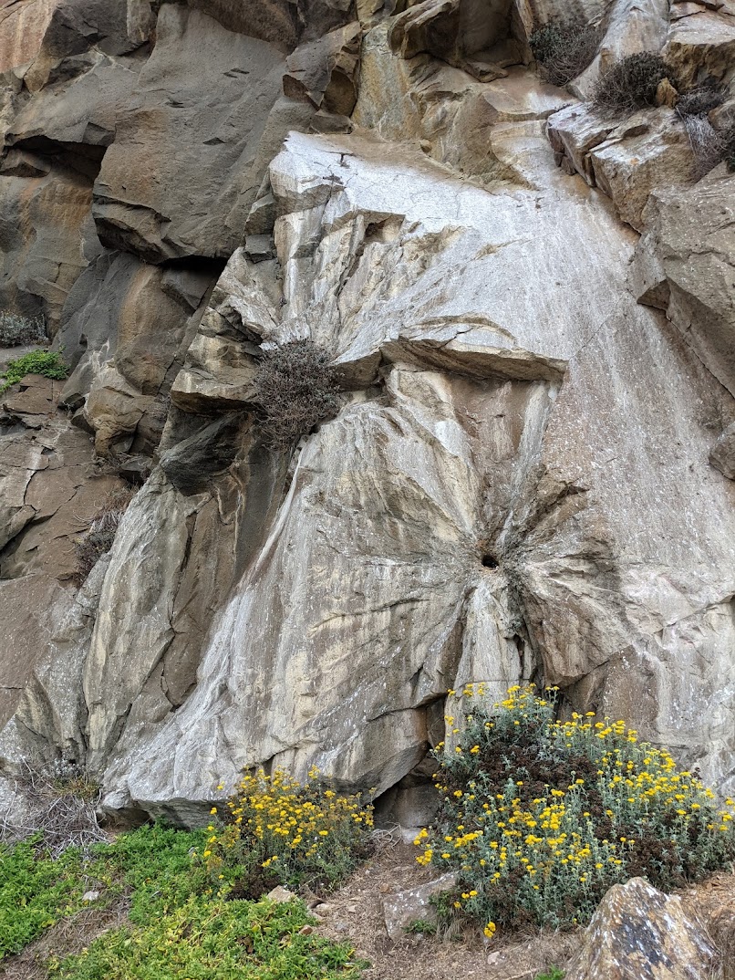 A cliff face with a hole and lines radiating out. A similar series of radiating lines has a plant in it.