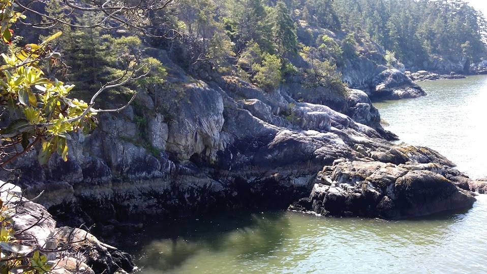 Rocky cliffs going down to the sea. Forest at the top of the cliffs.