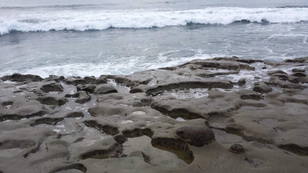 A rock beach by the sea, with large round indentations worn away.
