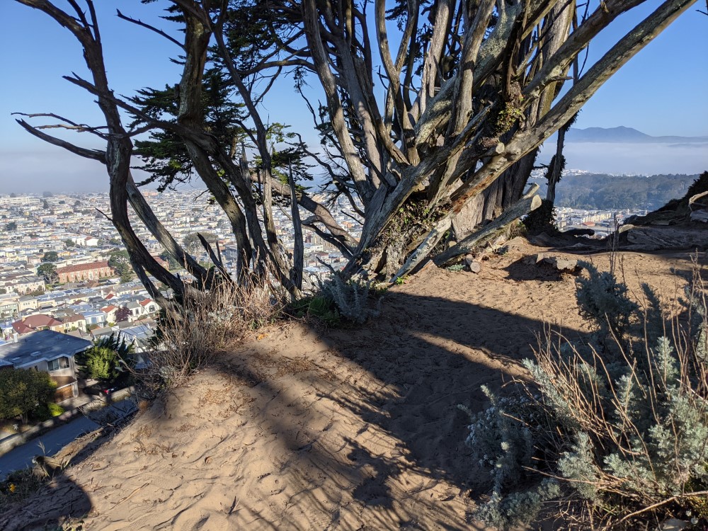 The top of a sandy hill, high above a city