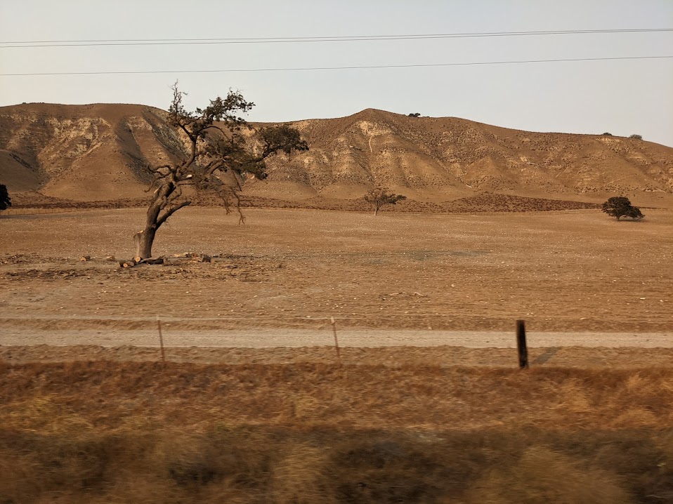 A single tree on dry dirt in front of equally dry hills