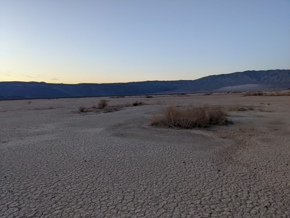 Landscape view in the cracked mud. Several island-shaped clumps of plants, now dead, can be seen, and the patterns of rippling water are around them.