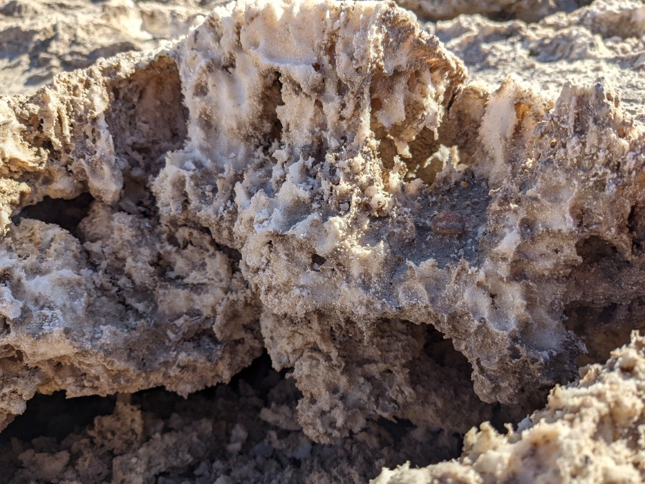 A closeup of one of the chunks of salt, showing cave like structures, some with stalagtite and stalagmite like structures