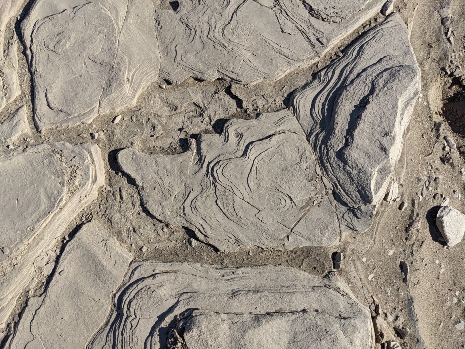 Close-up of flat sandstone like rocks, made up of thin layers stacked vertically, but together poking no more than an inch or so out of the sand. 