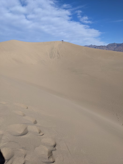Looking up the side of a giant dune, with faint tracks from the sled, you can see people as tiny dots at the top.
