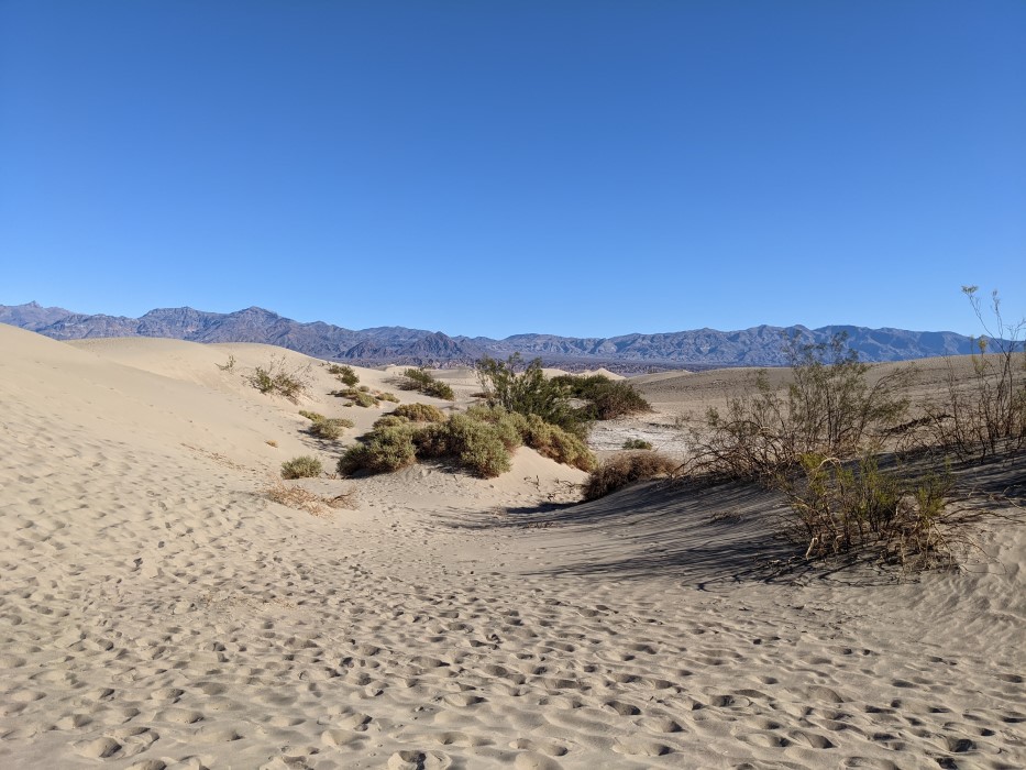 In the valley of the sand dunes. There are small, sparse bushes growing here, and the sand is churned up by footprints. You can see mountains in the distance, but not many other dunes, presumably hidden behind the ones you see.