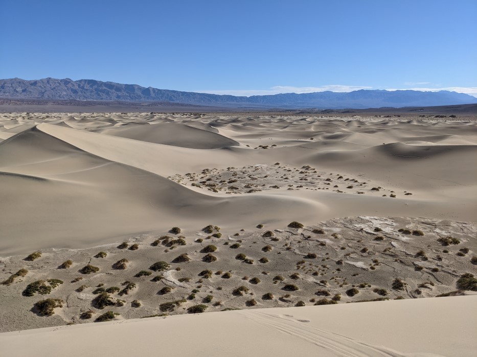 Taken from the top of a very tall sand dune, you can see a valley below filled with sparse, round green bushes, and other such valleys below, as well as miles and miles of dunes getting smaller as you get further away. Eventually in the distance the dunes change to low hills, then mountains. 